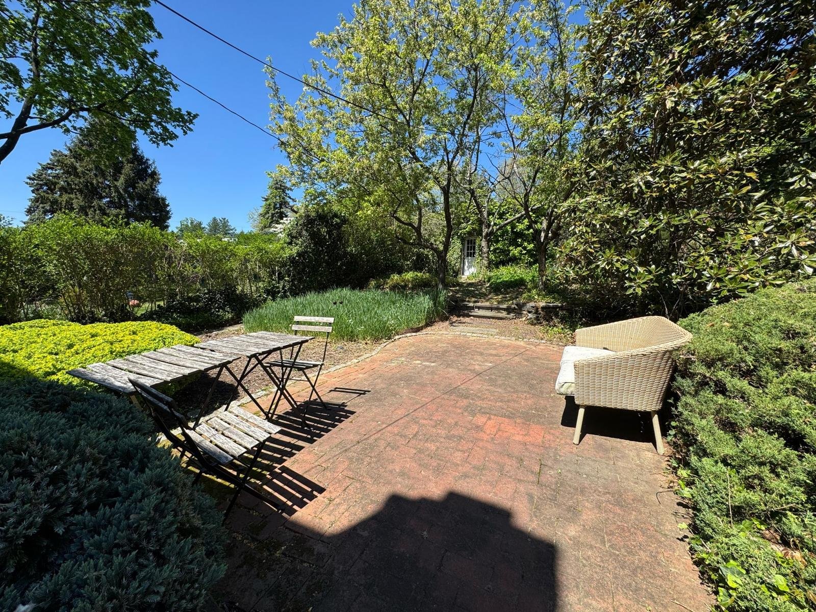 Yard cleanup work by Green Force Property Services